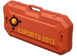 Кейс eSports 2013